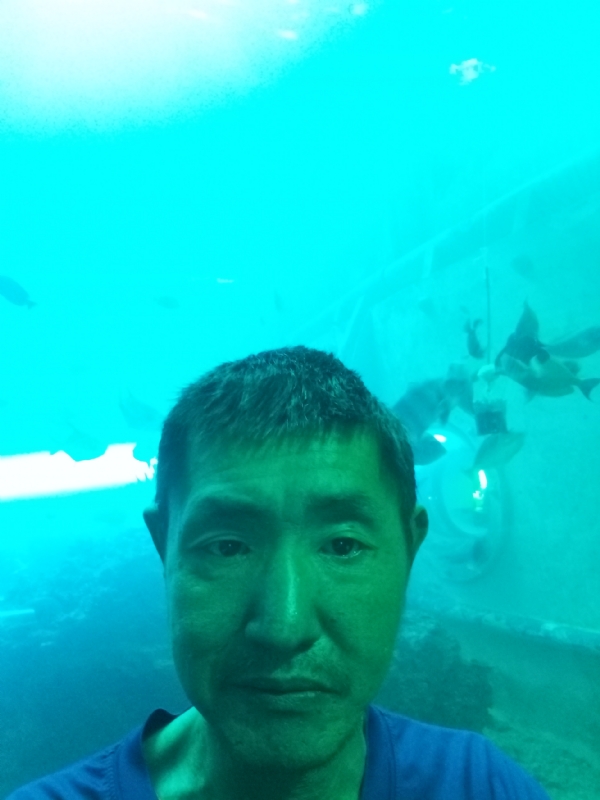陸戰隊的第一张照片--海峡交友网