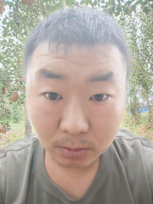 明天的第一张照片--海峡交友网