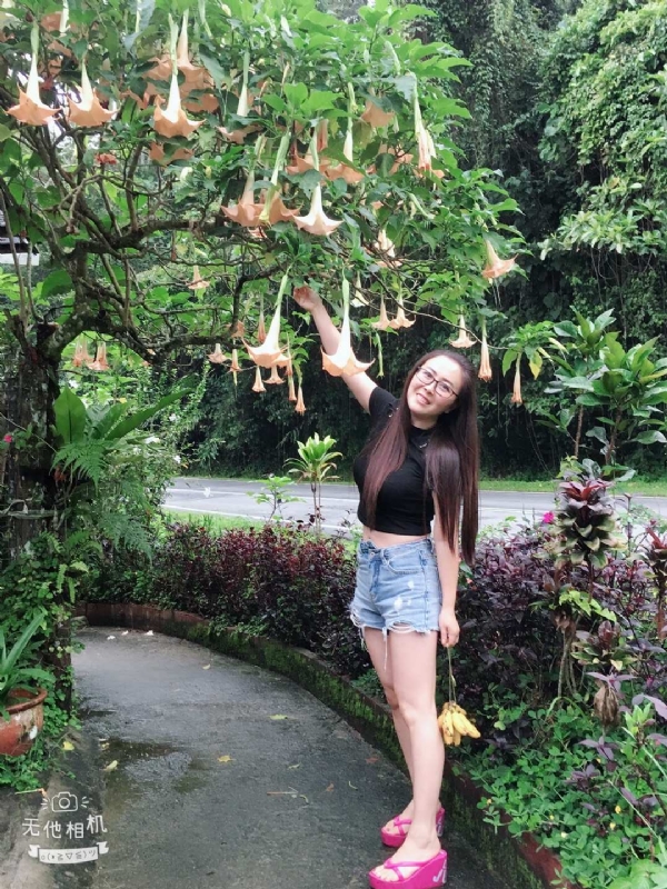 离异单身无子的第二张照片--海峡交友网