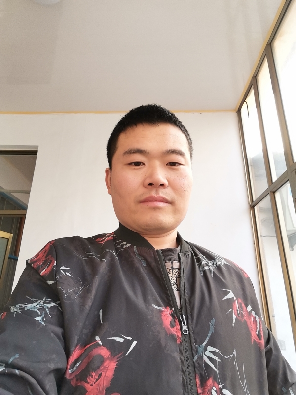 会飞的猪的第一张照片--海峡交友网