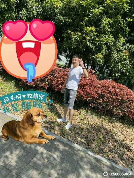 我若不坚强谁替我勇敢的第一张照片--海峡交友网