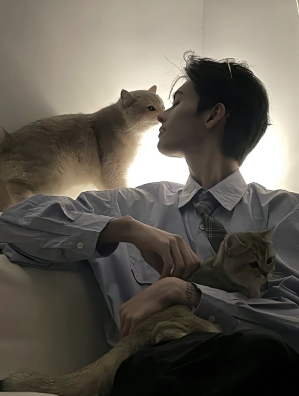 怪猫的第一张照片--海峡交友网